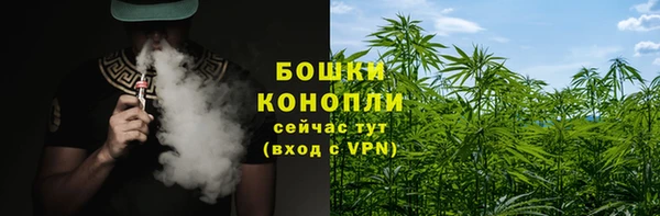 ГАЛЛЮЦИНОГЕННЫЕ ГРИБЫ Балабаново