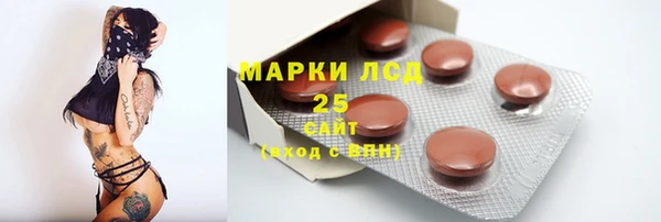 ГАЛЛЮЦИНОГЕННЫЕ ГРИБЫ Балабаново