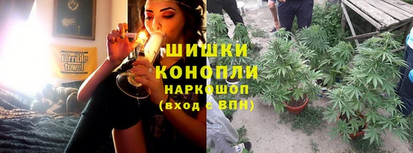 ГАЛЛЮЦИНОГЕННЫЕ ГРИБЫ Балабаново