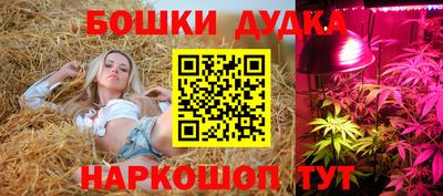 ГАЛЛЮЦИНОГЕННЫЕ ГРИБЫ Ликино-Дулёво