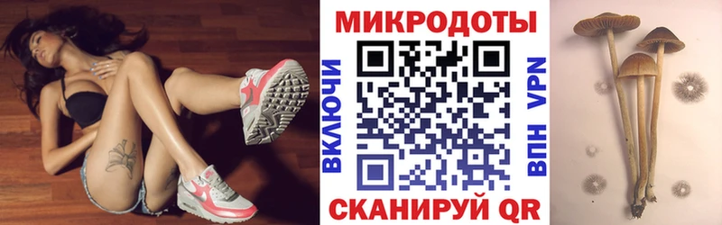 Галлюциногенные грибы прущие грибы  купить закладку  дарк нет формула  Гатчина 