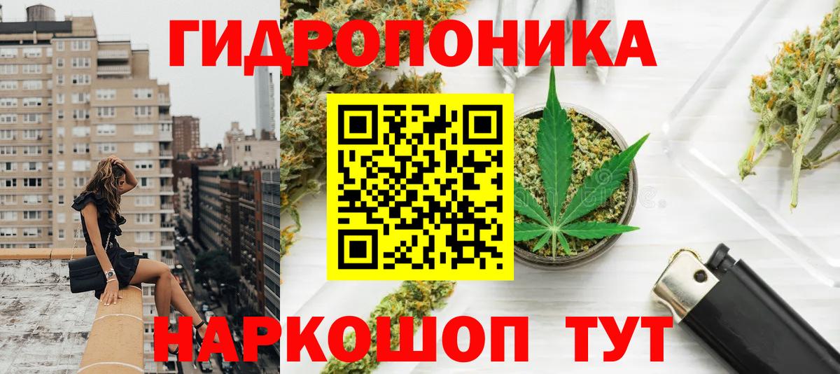 Канабис гибрид Гатчина